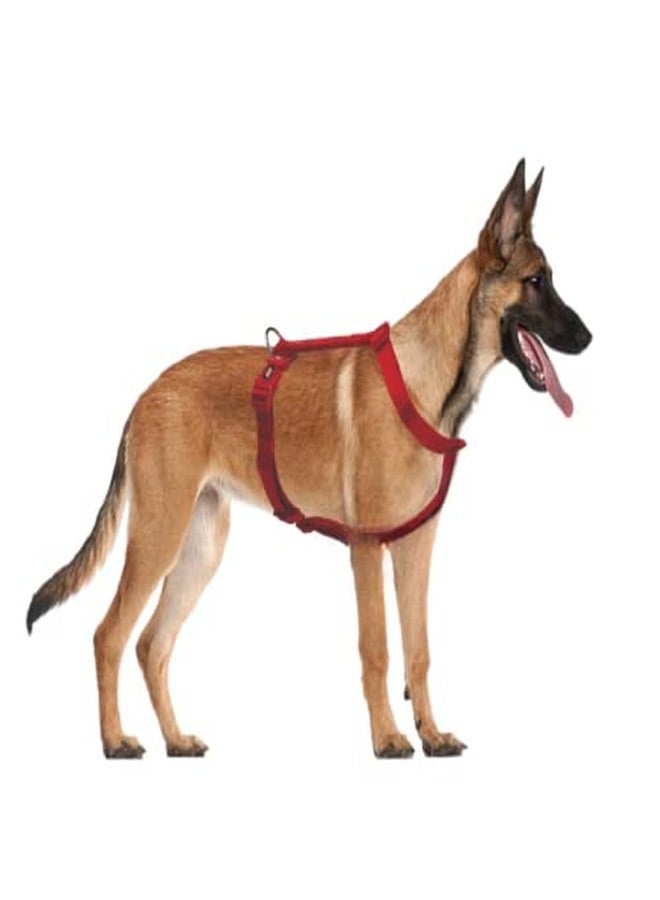 Trixie Premium Touring Harness for Dogs Made with Fleece Padding, Adjustable, and Lightweight Strong D-Ring Keeps The Harness and Leash in Place (L-XL, Red) - Image 3